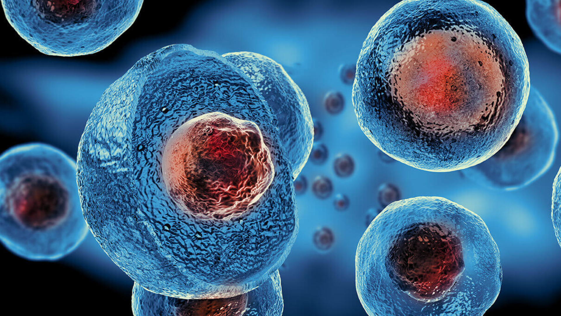 Stem Cell (ReGen) treatment at iCRYO Branford
